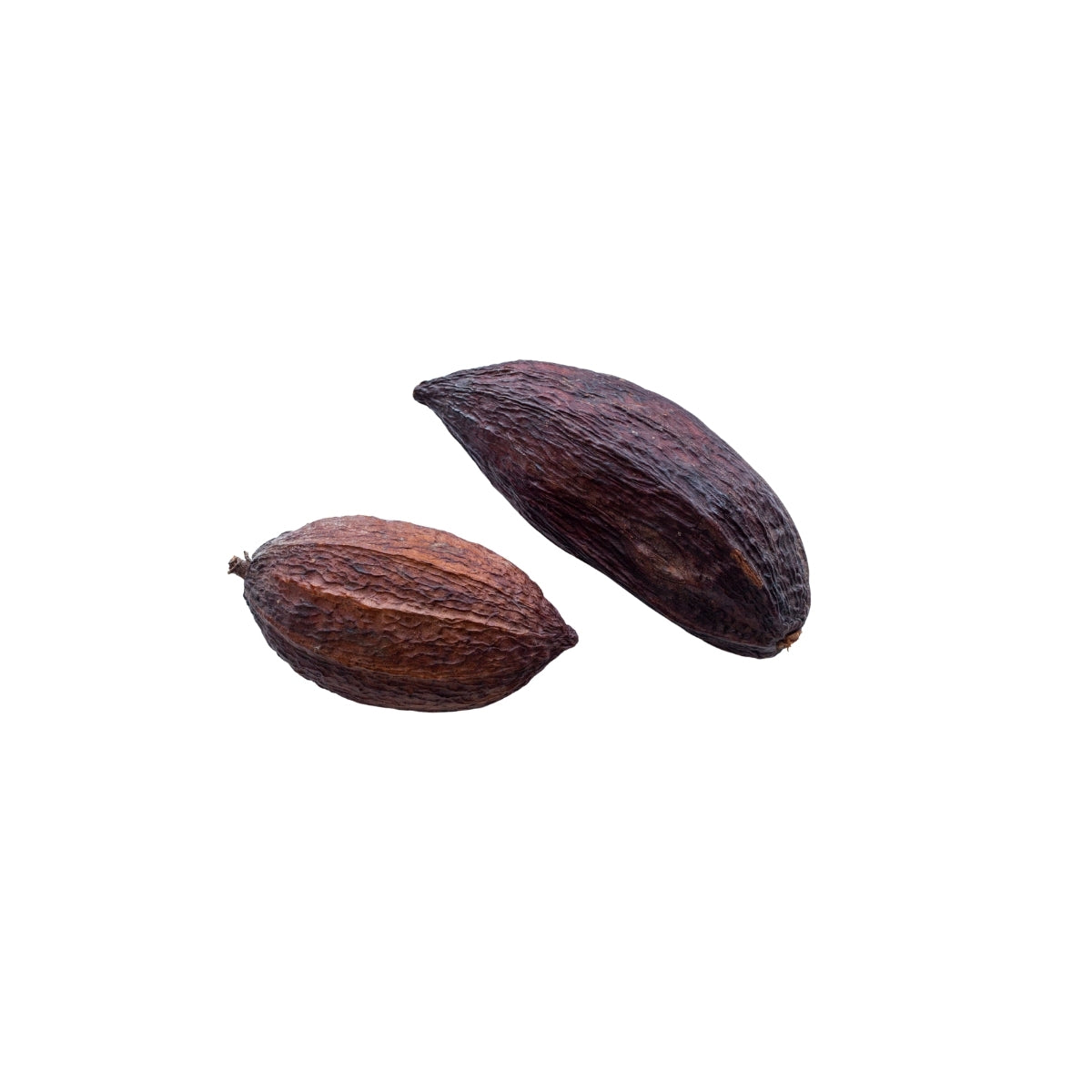 Unt de cacao