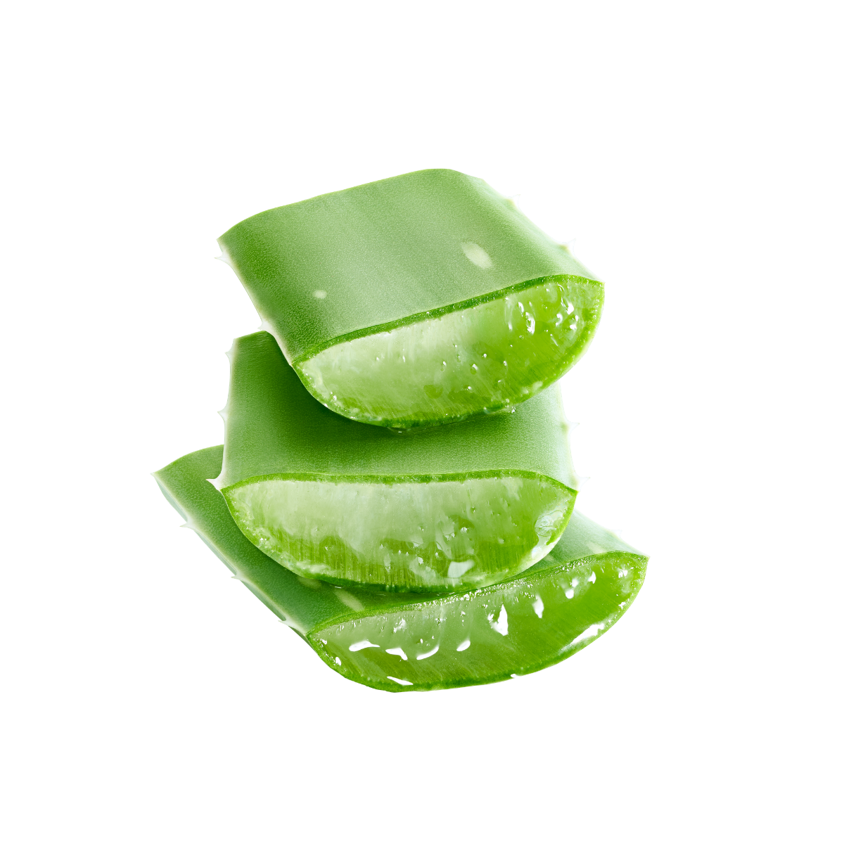 Aloe vera 